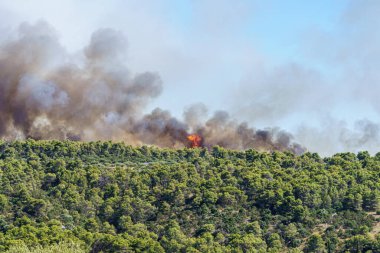 Hırvatistan 'ın Adria sahilindeki güneşli yaz gününde dumanlı ve dilli Bush yangını, telefon lensleri