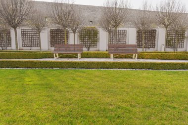 Yeşil çimenler, kel ağaçlar ve iki boş bank, güneşli, Slovakya, Bratislava, kale, geniş açılı mercek.