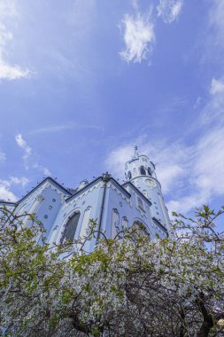 Mavi Kilise (Elizabeth Kilisesi) daha düşük bir perspektiften, ön planda çiçek açan bir ağaç, güneş, Slovakya, Bratislava, geniş açılı mercek