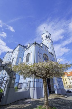 Mavi Kilise (Elizabeth Kilisesi) daha düşük bir perspektiften, ön planda çiçek açan bir ağaç, güneş, Slovakya, Bratislava, geniş açılı mercek