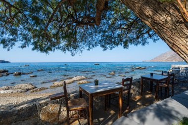 Boş restoran masaları ve sandalyeler doğrudan kayalık bir sahilde bir ağacın gölgesinde, Yunanistan, Girit adası, normal açılı lens