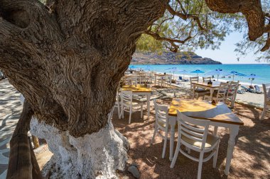 Plajda boş restoran masaları ve sandalyeler, ağaçlarla gölgelenmiş, şemsiyeli plaj, Yunanistan, Girit adası, geniş açılı lens.