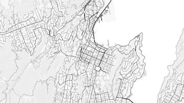 Wellington Şehir Haritası. Baskı, duvar kâğıdı, ev ve ofis dekorasyonu için minimalist siyah beyaz çizgili sanat posteri