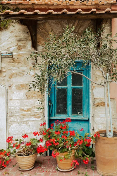 漂亮的老房子 门前有蓝色的门 前面有红色的花 Thasos村 — 图库照片