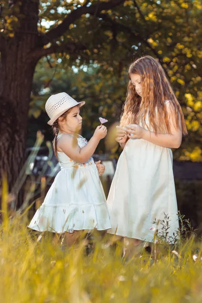 İki küçük kız, beyaz elbiseli kız kardeşler doğada çiçek topluyor.