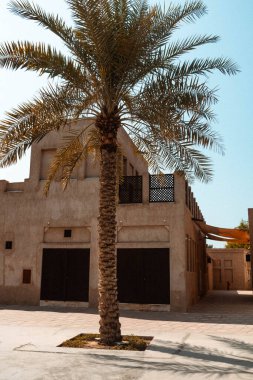 Dubai 'de sıradan bir sokak mimarisi. Önünde palmiye ağacı var.