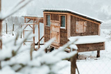 Beyaz Karlı bir arazide Eski Ahşap Tavuk Kümesi