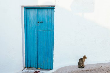 Kırsal Mavi Panjurlu ve Gevşetici Kedili Minimalist Beyaz Yunan Duvarı