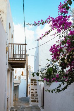 Milos Adası, Plaka köyünde dar bir sokak. Çiçek açan begonviller ve açık mavi gökyüzünün altında beyazlatılmış evler.