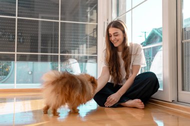 Pomeranian 'ının yanında oturan kadın pencerenin yanında.