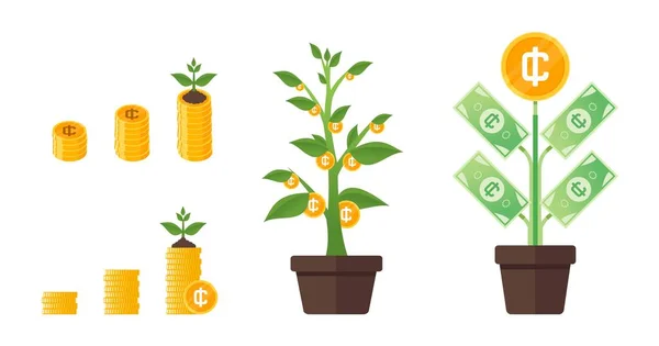 stock vector Ghanaian Cedi Money Tree Growing