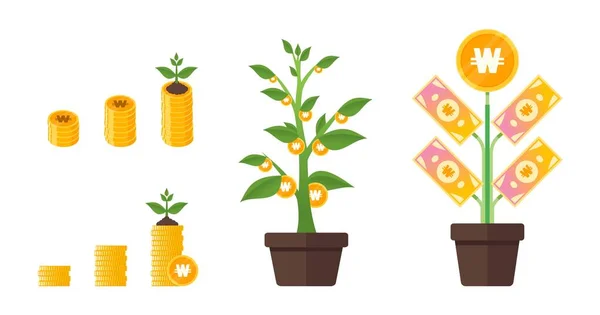 Korean Won Money Tree Growing — ストックベクタ