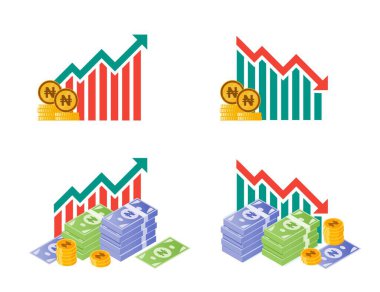 Nijerya Naira Para Dalgalanmaları