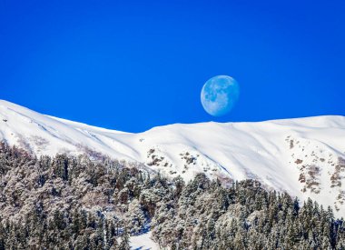 Manali, Hindistan devleti Himachal Pradesh 'in Himalaya dağlarında, Kullu Vadisi' nin kuzey ucunda yer alan bir vadidir.