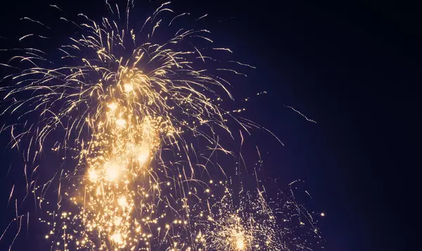 Parlak Havai fişekler Karanlık Gece Gökyüzüne Karşı