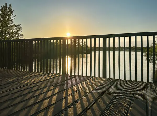 İngiltere 'nin Milton Keynes kentindeki Furzton Gölü üzerindeki Tahta Köprü