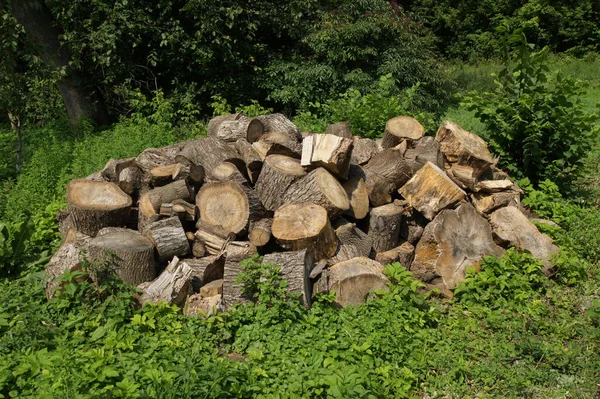 Kesilen Ağacın Gövdesinin Parçaları Daha Sonra Odun Olarak Kesilecek — Stok fotoğraf