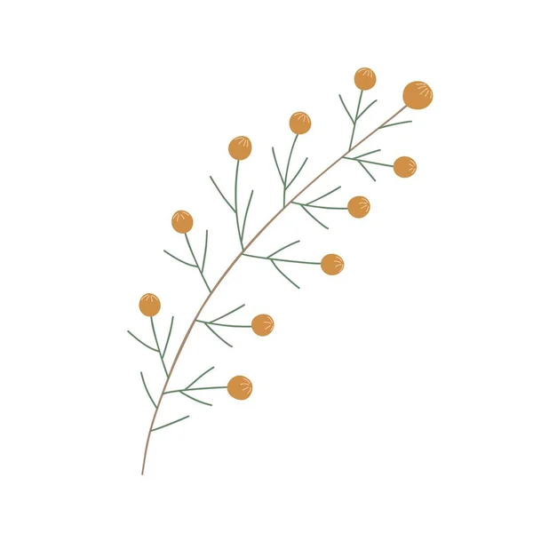 Χριστουγεννιάτικο Φυτό Διακοσμητικό Κλαδί Φύλλα Πορτοκαλί Μούρα Για Διακόσμηση Σπιτιού — Διανυσματικό Αρχείο