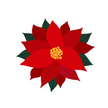 Kırmızı noktalı çiçek, dallar geleneksel kış tatili bitkisi, basit vektör illüstrasyonu, Mutlu Noeller, tebrik kartı, davetiye, tırnak, çıkartma için mevsimlik Noel dekorasyonu