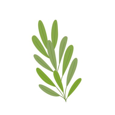 Noel ağacı ağaç dalları ev dekorasyonu için, bayram şenliği için, mevsimlik hediye kağıdı için vektör ilüstrasyonları, poster, klitoris