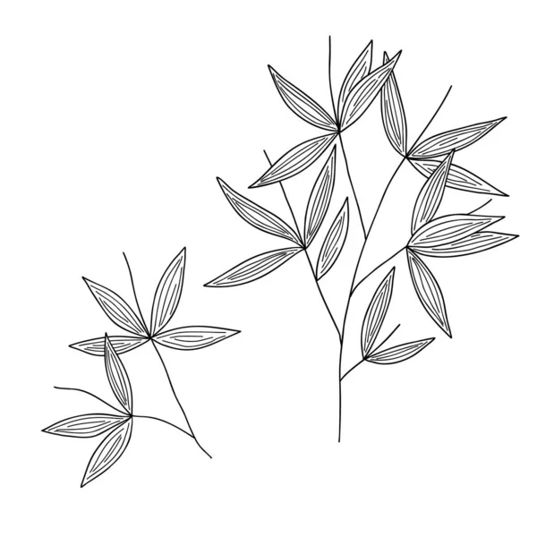 Feuilles Bambou Branche Illustration Vectorielle Style Linéaire Simple Plante Japonaise — Image vectorielle