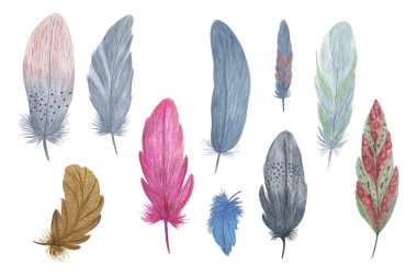 Renkli kuş tüyleri, suluboya illüstrasyon boho stil dekoratif kanatlar, yaratıcı kırsal tasarım, düğün davetiyesi, ev yapımı tekstil, kartlar