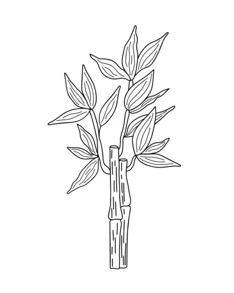 Folhas Bambu Ramo Estilo Linear Simples Vetor Esboço Ilustração Planta — Vetor de Stock