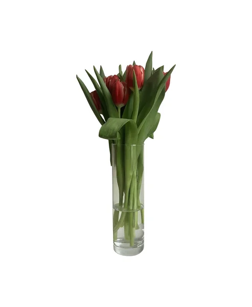 Rote Tulpe Garten Blumen Bouquet Transparenter Glasvase Ausschnitt Mit Clipping — Stockfoto