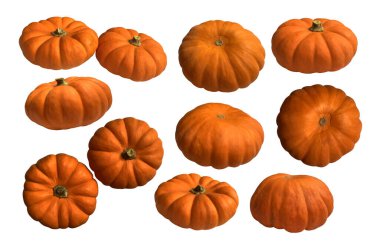 Sarı balkabağı sebzesi, sonbahar bayramı Şükran Günü için mevsimsel görüntü ve cadılar bayramı tasarımı beyaz arka planda izole edilmiş, kırpma yolu.