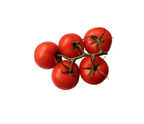 Red Ripe Tomatoes Branch Green Stem Leaves Cutout Object Clipping — Stock Photo, Image
