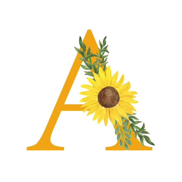 Abc Betű Latin Ábécé Díszített Napraforgó Levelek Virágos Monogram Akvarell — Stock Fotó