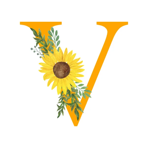 ABC, Letter V of Latin alphabet decorated with sunflowers and leaves, floral monogram watercolor illustration in simple hand painted style, summer flowers decorative letter