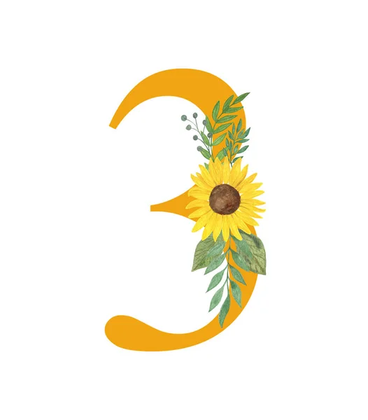 Číslo Tři Zdobené Slunečnice Listy Květinový Monogram Akvarel Ilustrace Jednoduchém — Stock fotografie