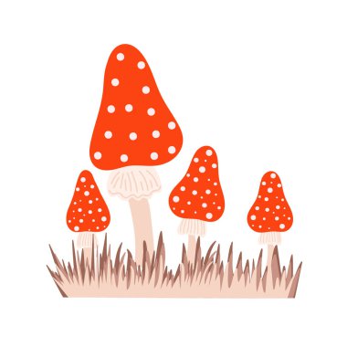 Kuru çimenlerde beyaz noktalı mantar kırmızısı, uçucu agarik kompozisyon mevsimsel Cadılar Bayramı vektör çizimi yenilmez cadı mantarları sonbahar tatili basit minimalist el çizimi resim