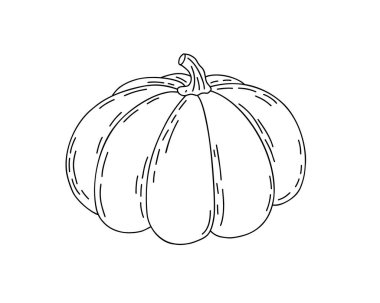 Balkabağı eli çizilmiş karalama vektör illüstrasyonu mevsimsel sonbahar tatili kutlaması tasarımı, sağlıklı vejetaryen diyeti, Şükran Günü, Cadılar Bayramı klibi