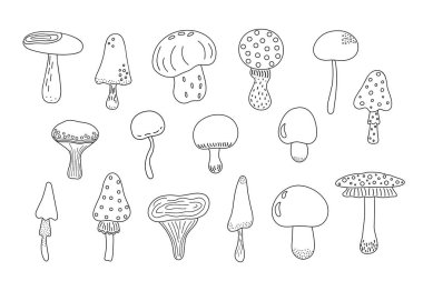 Mantarlar, mantarlar, zehirli mantarlar, yenmez perilerin mevsimsel Cadılar Bayramı vektör çizimleri, sihirli fantezi mantarları, sonbahar tatilleri, minimalist el çizimleri, karalama tarzı çizimler, cadılık sembolleri.