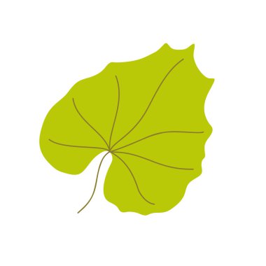 Balkabağı yapraklı el, karikatür çizimi. Sıcak renklerde basit bir illüstrasyon. Mevsimsel sonbahar bayramı kutlama tasarımı, Şükran Günü, Cadılar Bayramı dekoru.