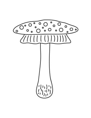 Mantar, mantarlı mantar, yenmez perinin mevsimsel Cadılar Bayramı vektör çizimi, sihirli fantezi mantarı sonbahar tatili, minimalist el çizimi karalama stili, cadılık sembolü.