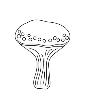 Mantar, mantarlı mantar, yenmez perinin mevsimsel Cadılar Bayramı vektör çizimi, sihirli fantezi mantarı sonbahar tatili, minimalist el çizimi karalama stili, cadılık sembolü.