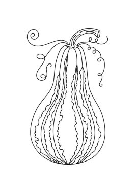 Balkabağı ana hatları basit el çizimi vektör çizimi, mevsimsel sonbahar için karalama sebzesi, sonbahar bayramı kutlama tasarımı, sağlıklı vejetaryen diyet malzemesi, Şükran Günü, Cadılar Bayramı klibi