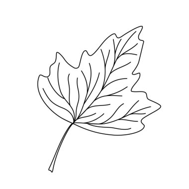 Yaprak çizimi basit el çizimi çizimi vektör illüstrasyonu, çevre projeleri, doğa konsepti, boyama sayfası, koleksiyon defteri, çizgi çizimi