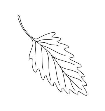 Yaprak çizimi basit el çizimi çizimi vektör illüstrasyonu, çevre projeleri, doğa konsepti, boyama sayfası, koleksiyon defteri, çizgi çizimi
