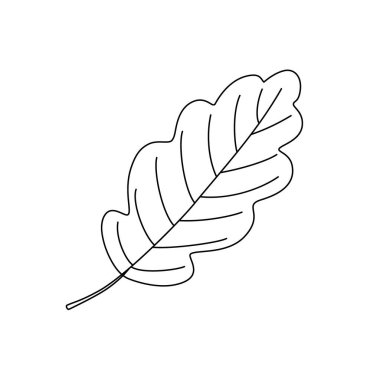 Meşe yaprağı basit çizim el çizimi karalama vektör çizimi, çevre projeleri, doğa konsepti, boyama sayfası, koleksiyon defteri, çizgi çizimi