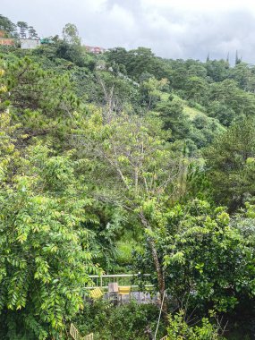 Vietnam, Dalat 'ın dağ manzarası. Dalat, Güneydoğu Asya 'da ünlü bir turizm şehridir..