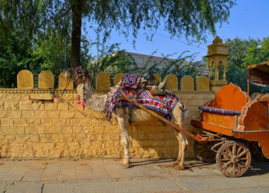 Jaisalmer, Hindistan - 10 Kasım 2017. Deve caddede turist bekliyor. Jaisalmer, Hindistan 'ın batısındaki Rajasthan eyaletinde yer alan eski bir ortaçağ ticaret merkezidir..