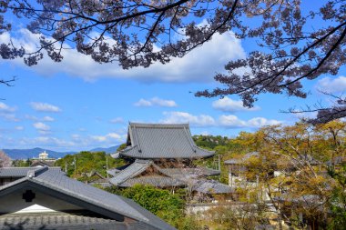 Ancient temple with cherry flowers in Kyoto, Japan. Annual cherry blossom viewing (hanami) is an important cultural feature in Japan.