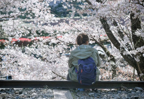 Женщина Наслаждающаяся Цветением Вишни Киото Япония Ежегодное Наблюдение Цветением Сакуры — стоковое фото