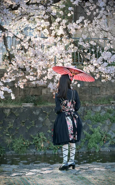 Una Mujer Disfrutando Flor Cerezo Kyoto Japón Observación Anual Flores —  Fotos de Stock