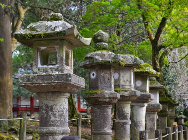 Nara, Japonya - 11 Nisan 2019. Japonya, Nara 'daki antik ormanda taş fenerler..