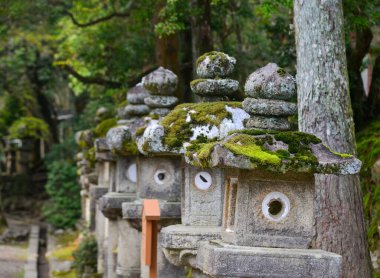 Japonya, Nara 'daki antik ormanda taş fenerler..